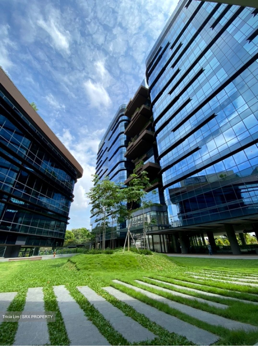 Woods Square (D25), Office #495925921